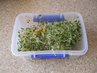 The finished product